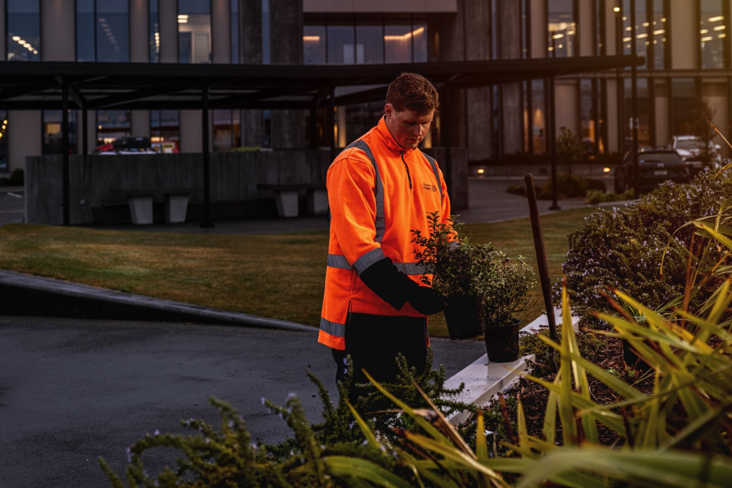 a man in high-vis gear looking after plants