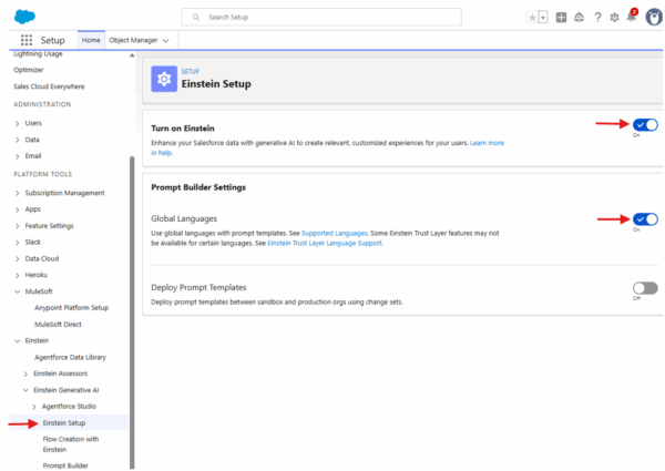 Step 2 Go to Einstein Setup, turn on Einstein, turn on Prompt Builder Setup