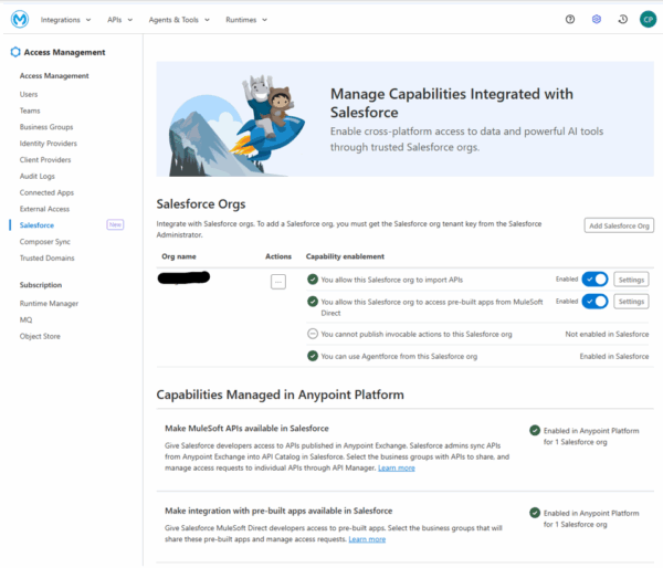 Setup your Anypoint Platform