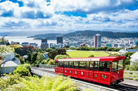 Wellington skyline