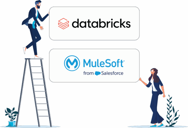 vectors holding mulesoft and databricks tiles together